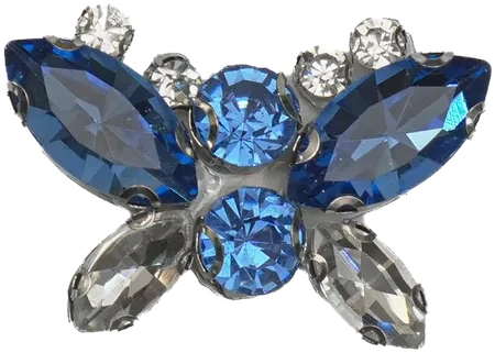 Farfalla blu